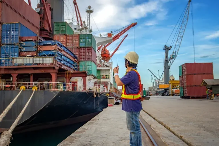 Estibadores portuarios Funciones, importancia y su impacto